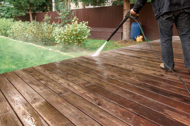 Pre-Holiday Cleaning in South Kensington, MD